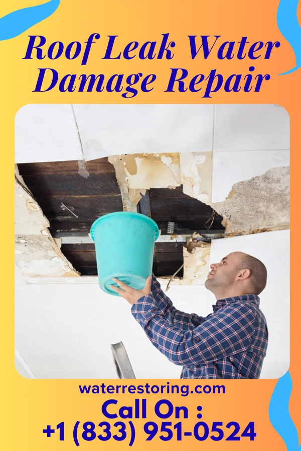 Roof Leak Water Damage Repair in Carl Junction, MO